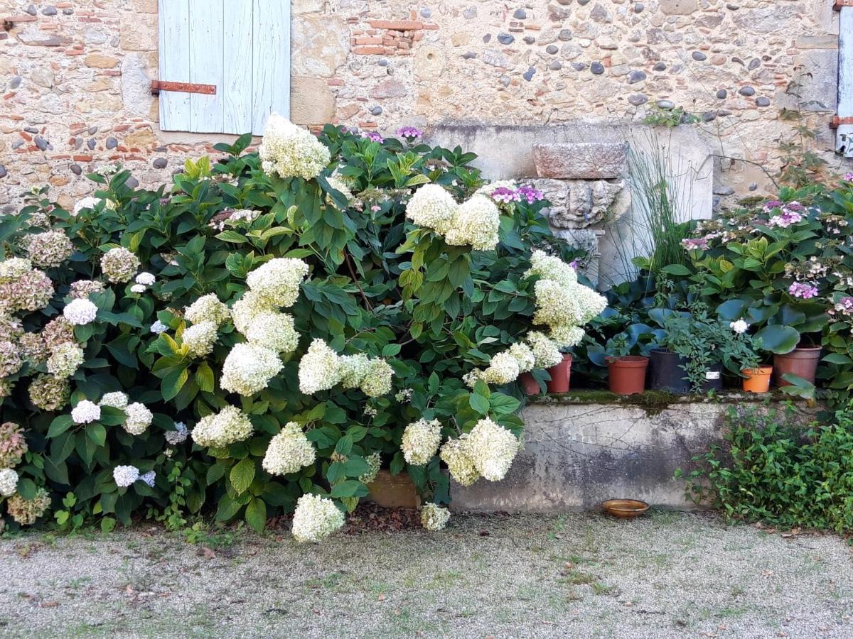 Bed and Breakfast Le Pouy Termes-d'Armagnac Exterior foto